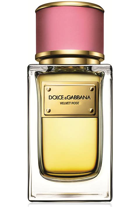 dolce gabbana rose cologne